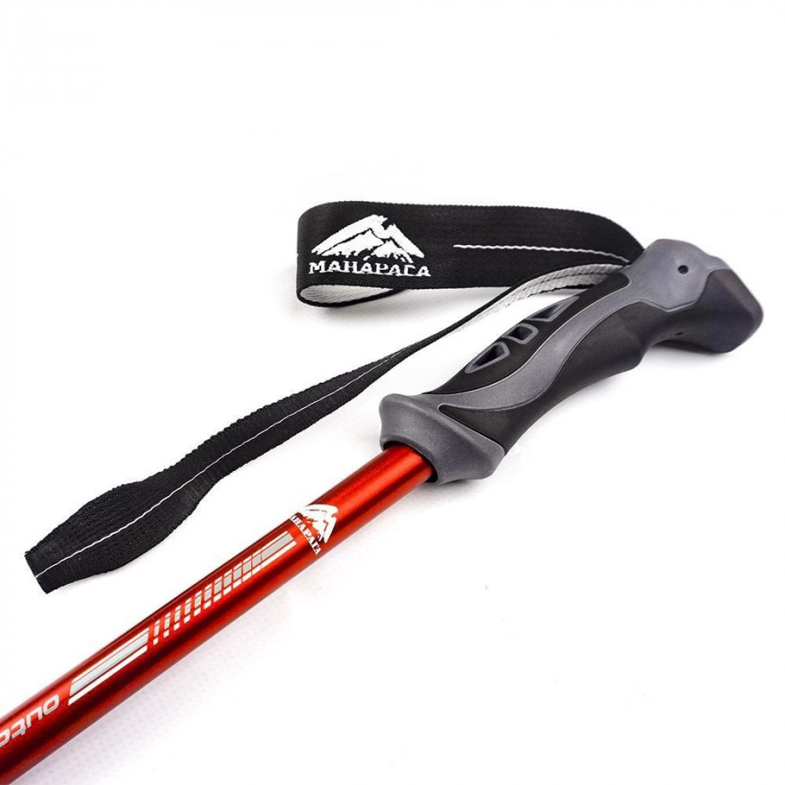 Палки треккинговые Манарага Alpine